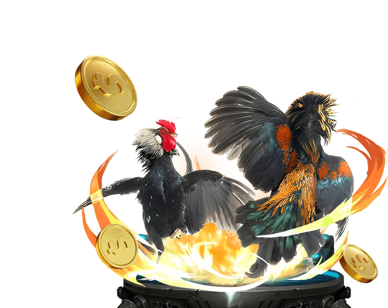 Các thuật ngữ xóc đĩa phổ biến